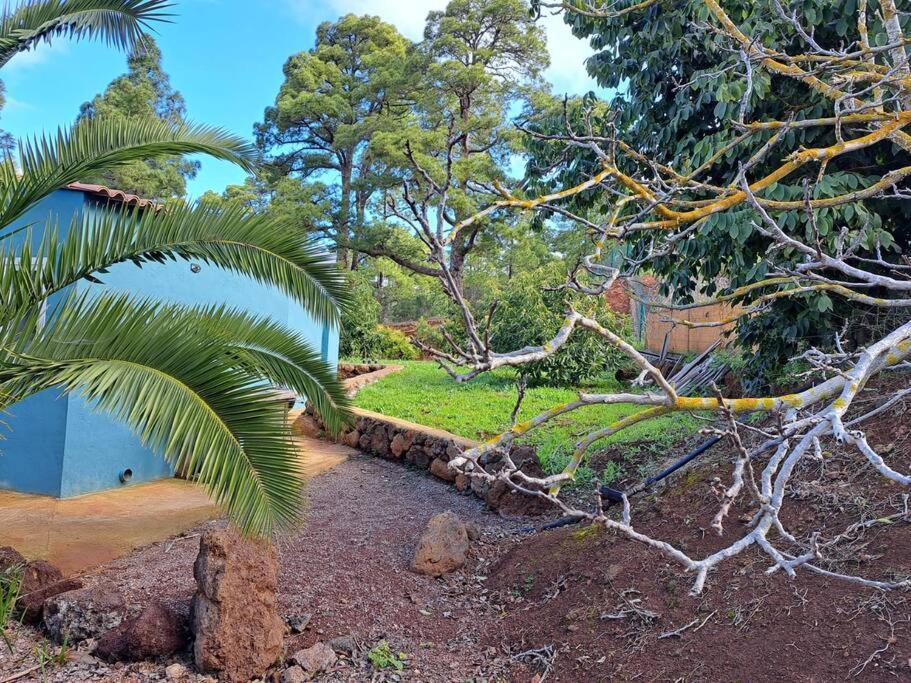 Casa Nogal Διαμέρισμα Πούντα Γκόρντα Εξωτερικό φωτογραφία