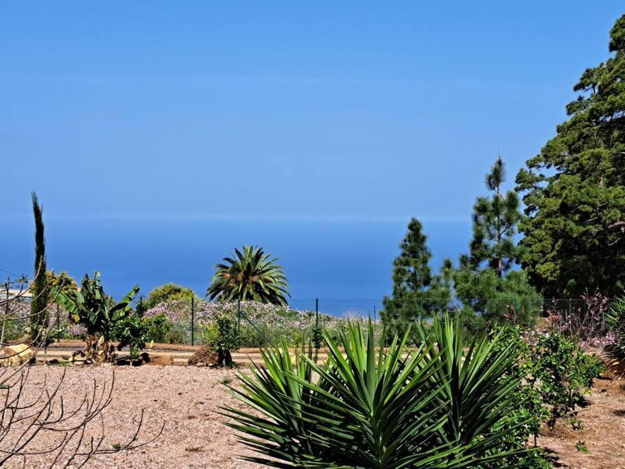 Casa Nogal Διαμέρισμα Πούντα Γκόρντα Εξωτερικό φωτογραφία