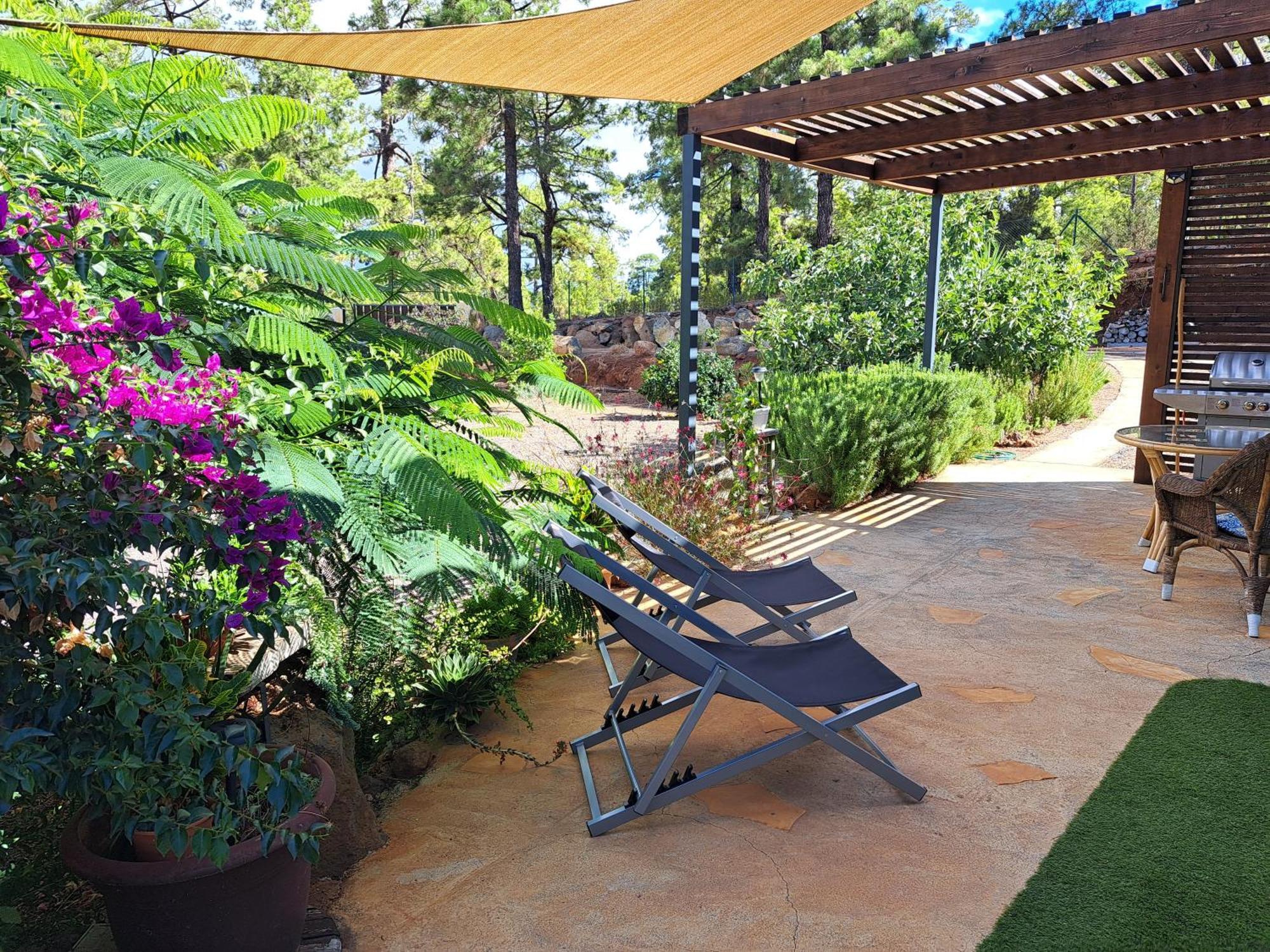 Casa Nogal Διαμέρισμα Πούντα Γκόρντα Εξωτερικό φωτογραφία