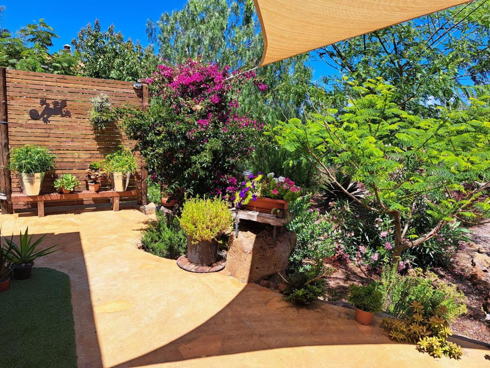 Casa Nogal Διαμέρισμα Πούντα Γκόρντα Εξωτερικό φωτογραφία