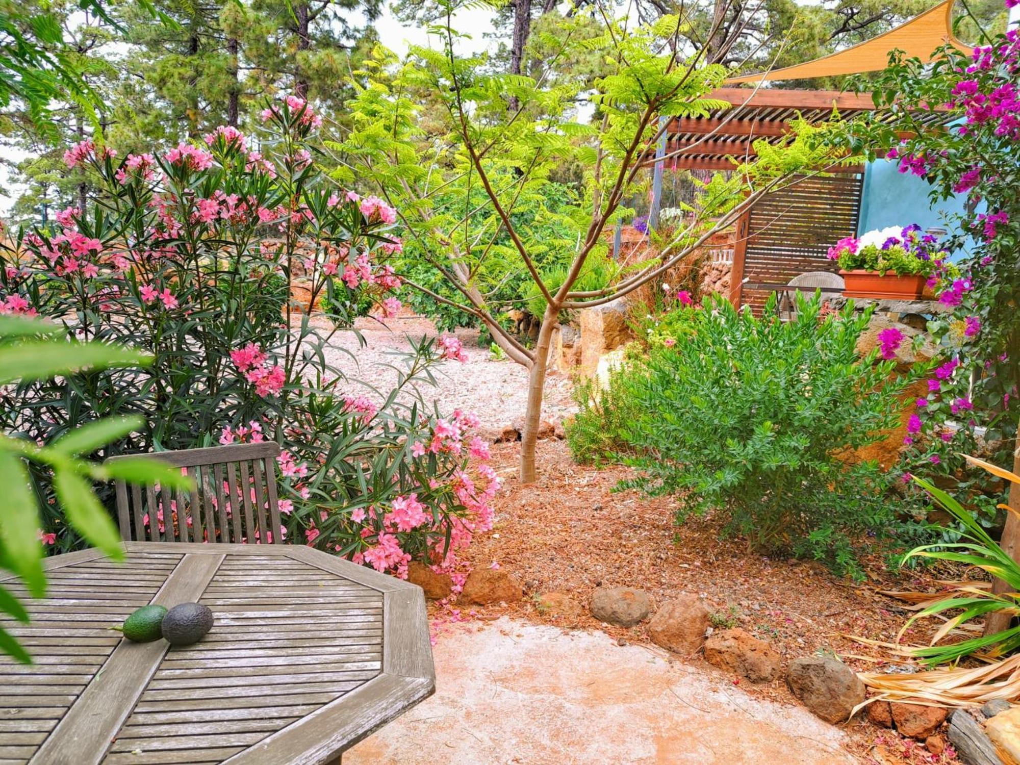 Casa Nogal Διαμέρισμα Πούντα Γκόρντα Εξωτερικό φωτογραφία